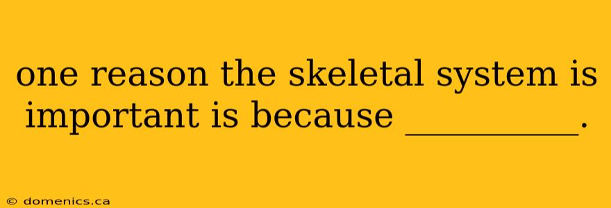 one reason the skeletal system is important is because __________.