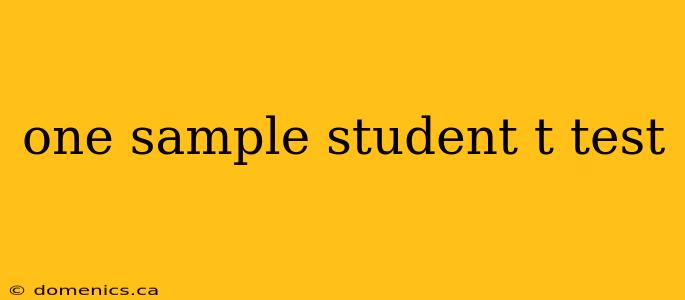 one sample student t test