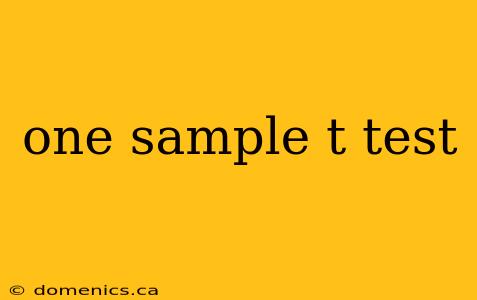 one sample t test