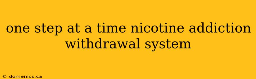 one step at a time nicotine addiction withdrawal system