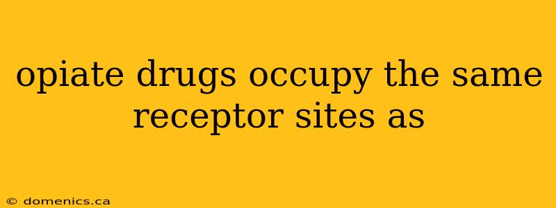 opiate drugs occupy the same receptor sites as