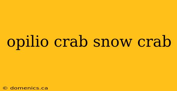 opilio crab snow crab