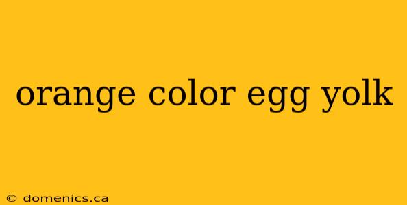 orange color egg yolk