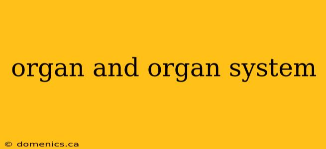 organ and organ system