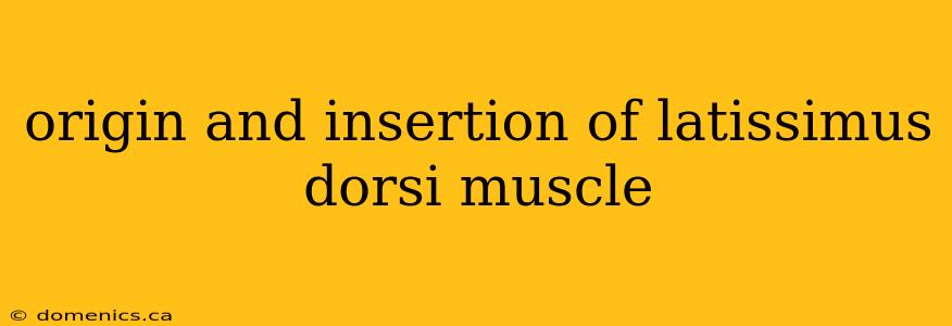 origin and insertion of latissimus dorsi muscle