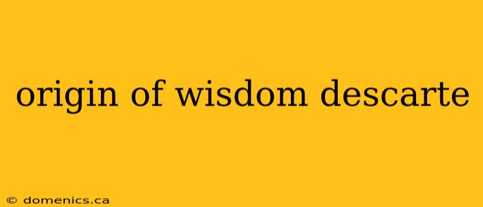 origin of wisdom descarte