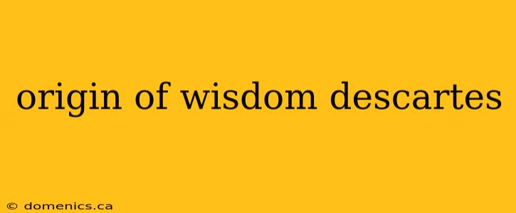 origin of wisdom descartes