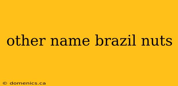 other name brazil nuts