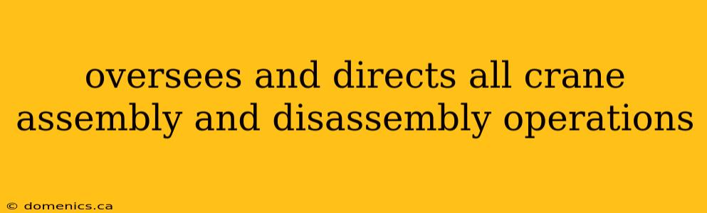 oversees and directs all crane assembly and disassembly operations