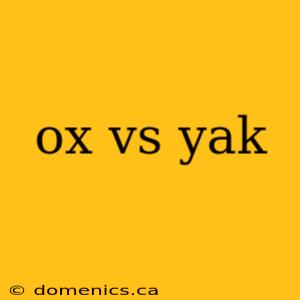 ox vs yak