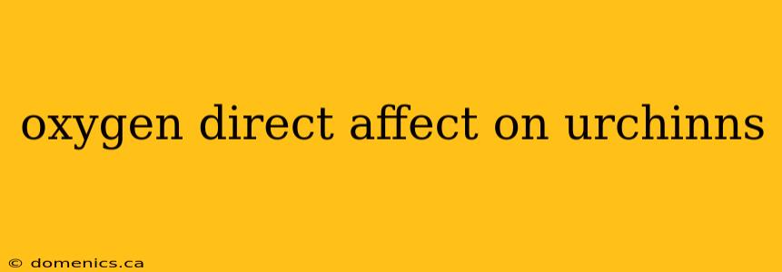 oxygen direct affect on urchinns