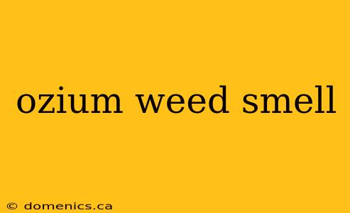 ozium weed smell