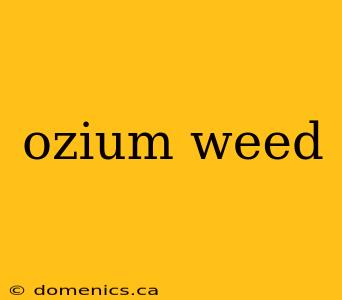 ozium weed