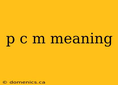 p c m meaning