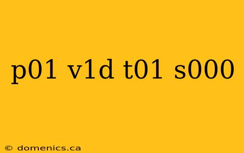 p01 v1d t01 s000