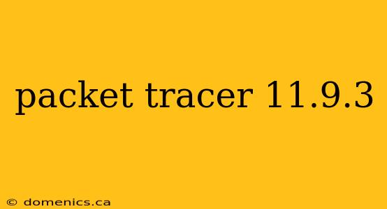 packet tracer 11.9.3