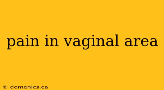 pain in vaginal area