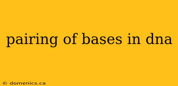 pairing of bases in dna