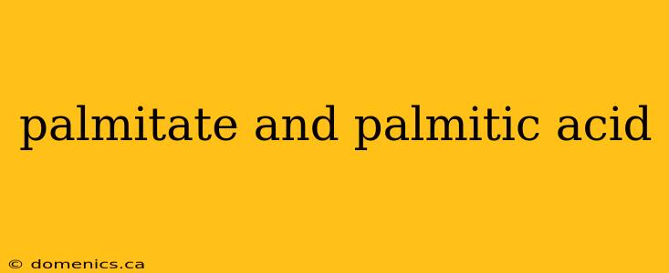 palmitate and palmitic acid