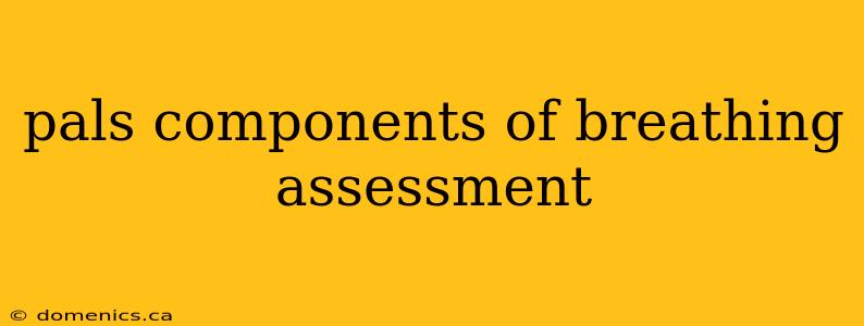 pals components of breathing assessment