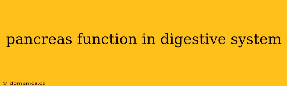 pancreas function in digestive system