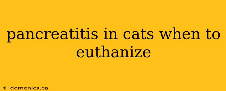 pancreatitis in cats when to euthanize