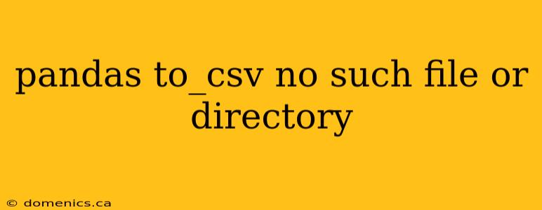 pandas to_csv no such file or directory