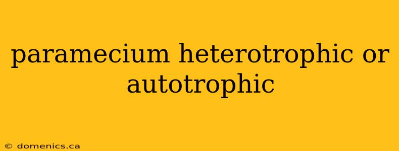 paramecium heterotrophic or autotrophic