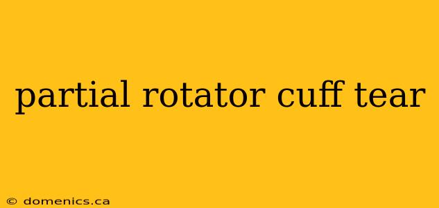 partial rotator cuff tear