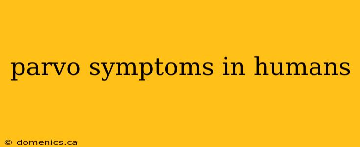 parvo symptoms in humans