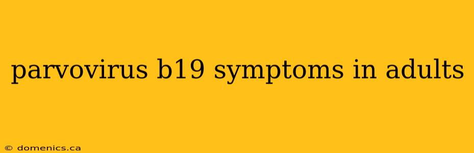 parvovirus b19 symptoms in adults