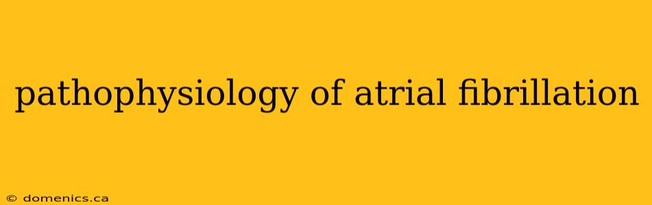 pathophysiology of atrial fibrillation