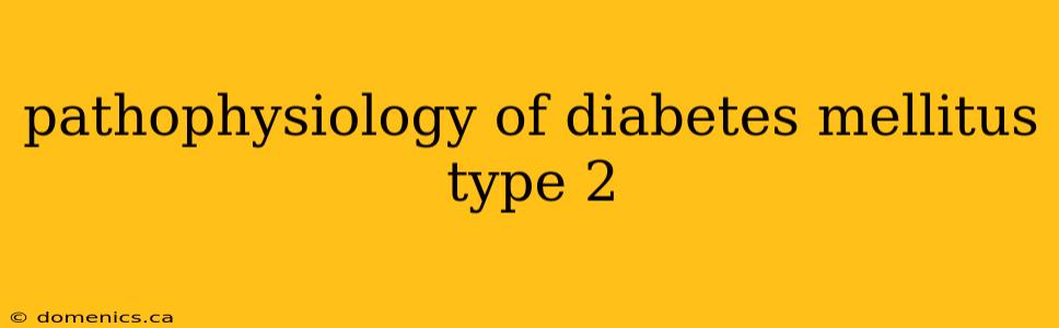 pathophysiology of diabetes mellitus type 2