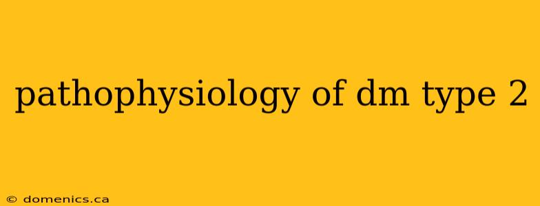 pathophysiology of dm type 2