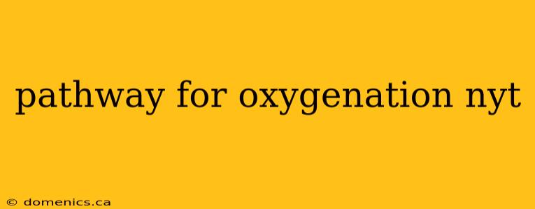 pathway for oxygenation nyt