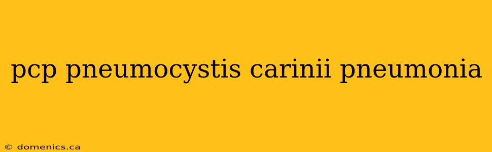 pcp pneumocystis carinii pneumonia