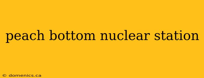 peach bottom nuclear station