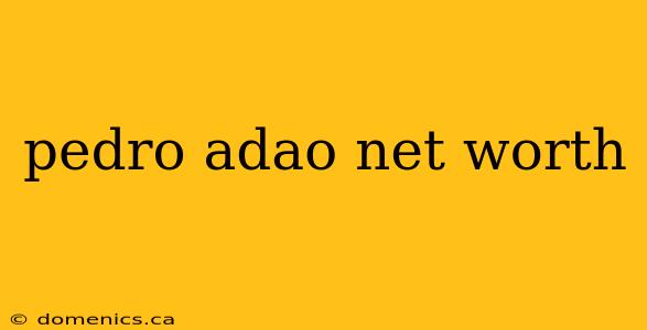 pedro adao net worth