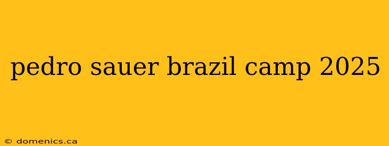 pedro sauer brazil camp 2025