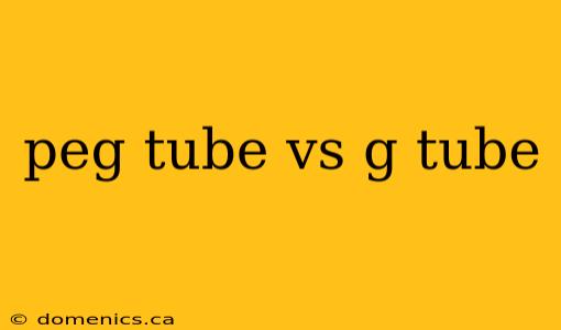 peg tube vs g tube