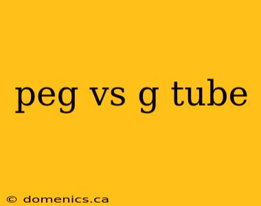 peg vs g tube