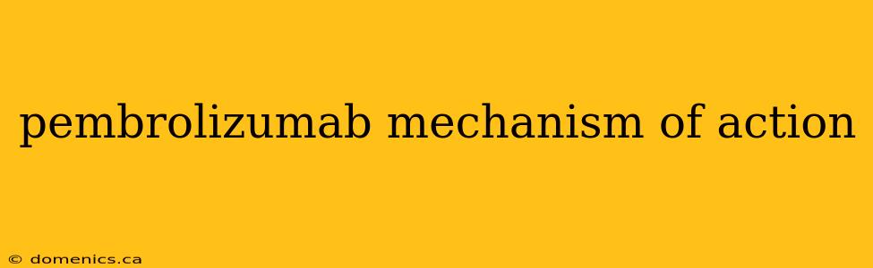 pembrolizumab mechanism of action
