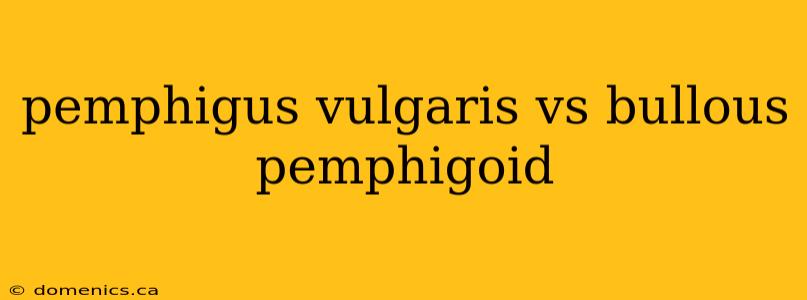 pemphigus vulgaris vs bullous pemphigoid