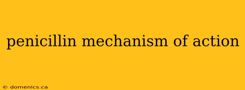 penicillin mechanism of action