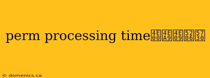 perm processing time一亩三分地