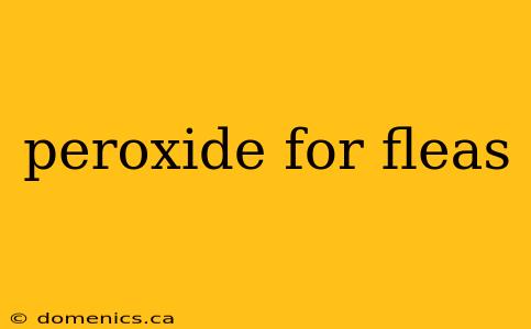 peroxide for fleas