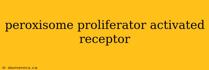 peroxisome proliferator activated receptor