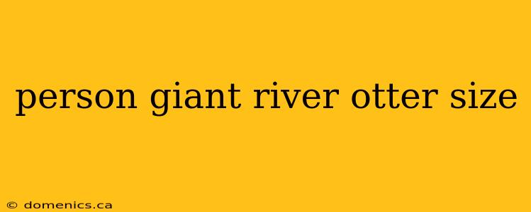 person giant river otter size