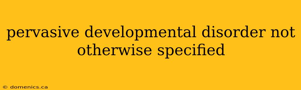 pervasive developmental disorder not otherwise specified