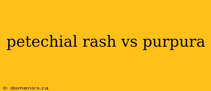 petechial rash vs purpura